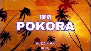 Topky  Pokora Blizzstar Remix [upl. by Meneau]