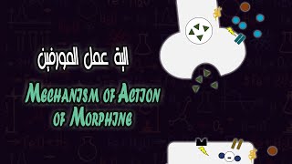 آلية عمل المورفين Mechanism of Action of Morphine [upl. by Aierdna]