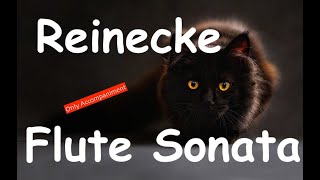 Only Accompaniment for Reinecke Flute Sonata [upl. by Stubstad4]