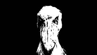 SONG IN DESCRIPTION Black and white shoebill meme [upl. by Lledyr]