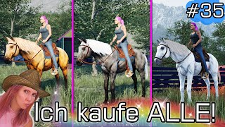 PFERDE kaufen 😍 Kranke Pferde retten vorm Schlachthof 🐎 Ranch Simulator deutsch 🤠 Folge 35 [upl. by Naves]