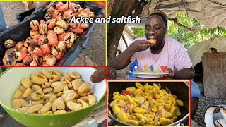 EATING JAMAICAN ACKEE AND SALTFISH for the First time in Jamaica 🇯🇲  Traditional Jamaican food [upl. by Airahcaz]