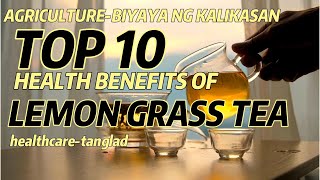 agriculture TOP 10 HEALTH BENEFITS OF LEMON GRASSTANGLAD TEA [upl. by Wait]