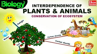 Environment amp Ecosystems  Part 4  Interdependence of Plants amp Animals  Conservation of Ecosystem [upl. by Ahseka]