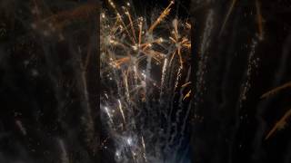 100 SHOTS VENTURE STAR  New Years Eve 2024 foryou magician fireworks [upl. by Ahsoik642]