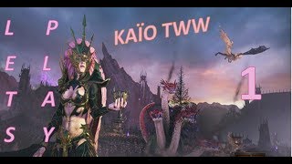 FR total war warhammer 2  Hellebron  la reconquête dun trône  Episode 1 [upl. by Hako545]