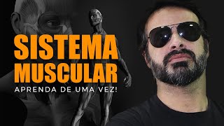 SISTEMA MUSCULAR ENTENDER TODOS OS MÚSCULOS DO CORPO NÃO SERÁ MAIS UM PROBLEMA PT 1 [upl. by Mace]