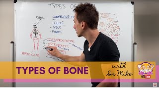 Types of Bones [upl. by Raymonds]