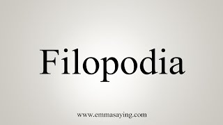 How To Say Filopodia [upl. by Gardol]