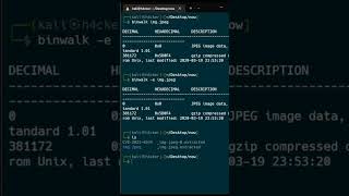 Binwalk Image forensic extract information from image cybersecurity imageforensic binwalk exif [upl. by Assanav]