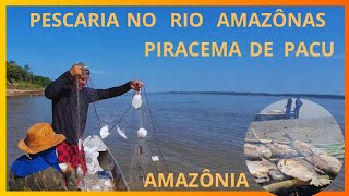 PESCA DE MALHADEIRA NO RIO SOLIMÕES AMAZONAS PIRACEMA DE DE PACU [upl. by Mcloughlin]