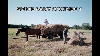 Złote Łany  Odcinek 1 [upl. by Livingstone]