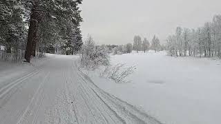 Länsman satte luffare i tvångsarbete under 1800  1900 talet [upl. by Assirim]