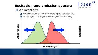 Fluorescence Spectroscopy Tutorial  Basics of Fluorescence [upl. by Rehsu]