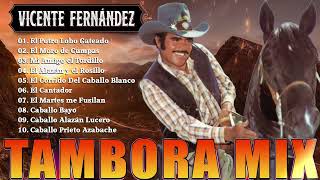 1 Hora De Puros Corridos De Caballos De Vicente Fernández 🔥 Rancheras Mix Viejitas 80s 90s [upl. by Zia]