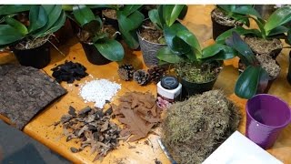 How to prepare the best potting media for Phalaenopsis orchids [upl. by Remot228]