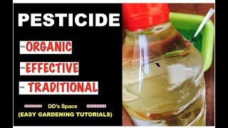 HOW to make Organic PESTICIDE at home POWERFUL MULTIPURPOSE EASY [upl. by Agnot]