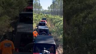 Cary State Forest Off Road [upl. by Cirone]