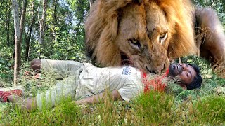 Lion Attack Man in Forest  Lion Attack Hunter  Lion Attack Stories Part44 [upl. by Mimi]