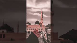 islamicstatus ilovemadinasharif love beautiful madina trending viralvideo shorts [upl. by Reiners]