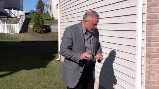 Termite Pest Inspection Video 1 [upl. by Maffei]