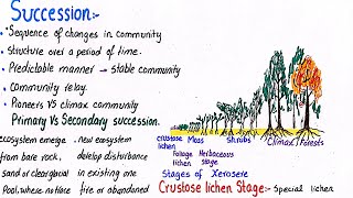 Succession  stages of xerosere succession  class 12 [upl. by Eanyl]