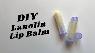 DIY Lanolin Lip Balm [upl. by Edwin]