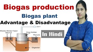 Biogas production  Gobar gas  Methane production  Biogas plant  Biogas in Hindi [upl. by Vladi409]