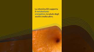 Vitamina B2 Benefici Utilizzi e Proprietà della Vitamina B2 [upl. by Sargent]