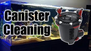 How to Clean Fluval FX6 Canister Filters Quick amp Simple [upl. by Ressler23]