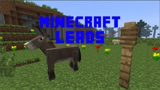 Minecraft  How to make leads 161 [upl. by Evante]