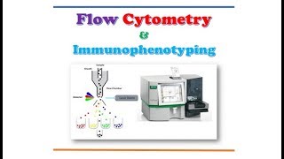 Flow Cytometry and Immunophenotyping [upl. by Jeri]