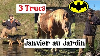 3 Trucs à faire en Janvier au Jardin [upl. by Lewison]