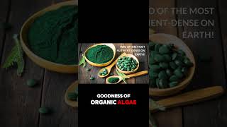 Sunlit Best Organic Chlorella Spirulina Tablets Review – Best Vegan Superfood Supplement 2024 [upl. by Reidar420]