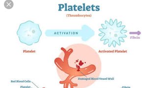 Platelets Properties and Functions Thrombocytopenia amp Thrombocytosis [upl. by Trust]