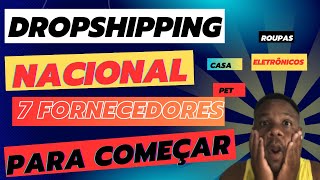 7 Fornecedores Secretos de Dropshipping Nacional para Lucrar Mais em 2025 [upl. by Ahsenet435]