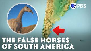 The Mystery of South Americas False Horses [upl. by Divadnhoj]