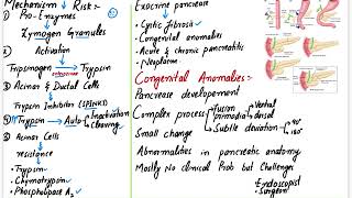 Pancreas  Robbins PathologyChapter 17AgenesisPancreas DivisumAnnular PancreasEctopic Pancre [upl. by Licec]