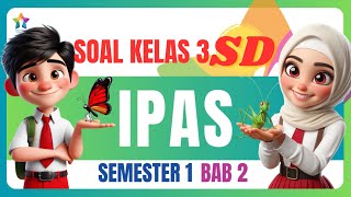 latihan soal ulangan harian Metamorforsis bab 2 IPAS kelas 3 SD Bab 2 semester 1 [upl. by Yenitsed629]