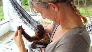 BABY MONKEY SURVIVES cute [upl. by Mick]