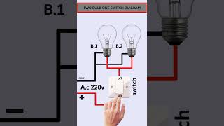 How to Control Two Bulbs with One Switch Easy Electrical Wiring Guide [upl. by Budworth49]