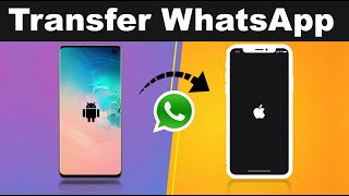 Try two ways to transfer whatsapp from android to iphone MobileTrans VS Wutsapper [upl. by Kerk362]