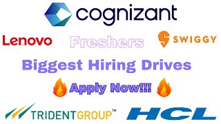 Massive Hiring Drive 2024  Cognizant Trident Swiggy HCL Lenovo amp More  Freshers amp Experienced [upl. by Stillmann]