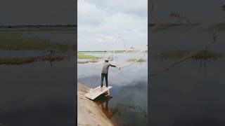 Wonderful throw cast net fishing fishing catchingfish [upl. by Caassi]