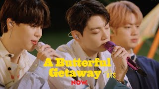 BTS 방탄소년단 봄날 Spring Day  A Butterful Getaway with BTS [upl. by Nosoj]