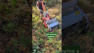 Efco flail mower in a field yesterday flailmower farmequipment mowinggrass grass machinery [upl. by Garland]