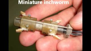 Single actuator Earthworm and Inchworm robots [upl. by Ainessej300]