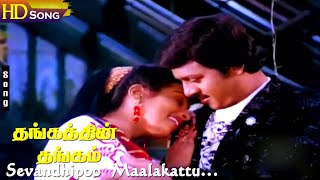 Sevandhipoo Maalakattu HD  Ramarajan  Ragasudha  Thangathin Thangam  Tamil Hit Songs [upl. by Titos]