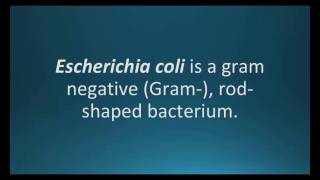 How to pronounce Escherichia coli E coli Pharmcabulary for Memorizing Pharmacology Flashcard [upl. by O'Hara]