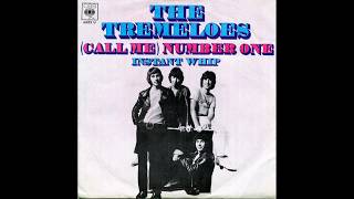 The Tremeloes  Call Me Number One  1969 [upl. by Aldon677]